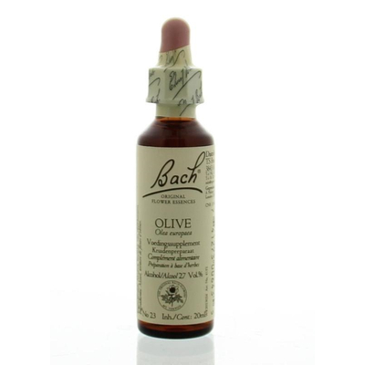 Bach Olive / olive Bach Olive / olive image