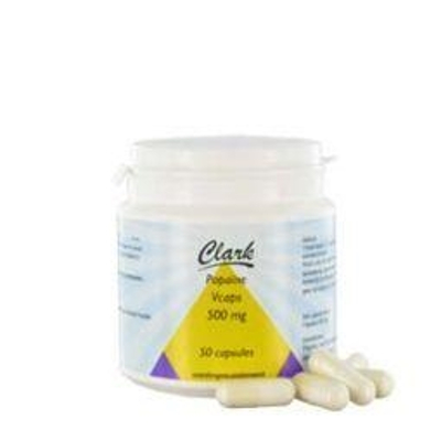 Clark Papain 500 mg Clark Papain 500 mg image