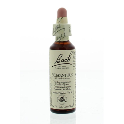 Bach Scleranthus / knawel Bach Scleranthus / knawel image