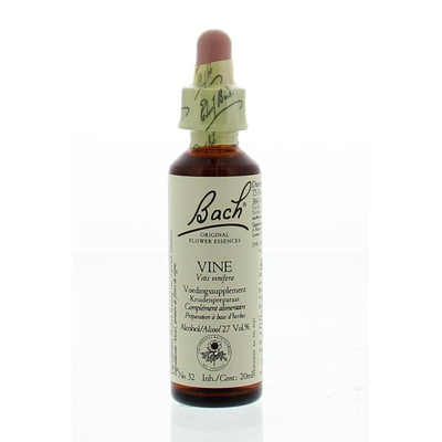 Bach Vine / grapevine Bach Vine / grapevine image