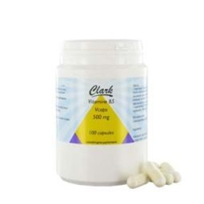 Holisan Vitamin B5 Pantothensäure 500 mg Holisan Vitamin B5 Pantothensäure 500 mg Abbildung