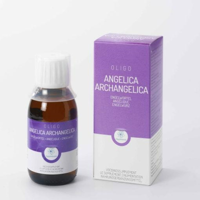 Oligoplant Angelica angelica arch Oligoplant Angelica angelica arch Abbildung