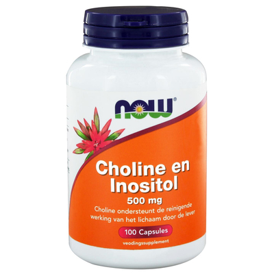 NOW Cholin und Inositol 500 mg NOW Cholin und Inositol 500 mg Abbildung