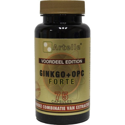Artelle Ginkgo & OPC forte Artelle Ginkgo & OPC forte image