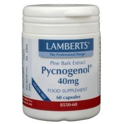 Lamberts Pycnogenol 40 mg image