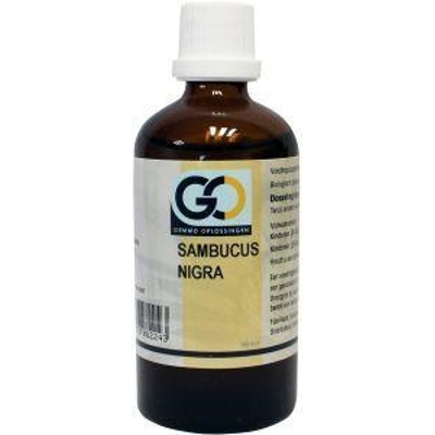 GO Sambucus nigra Abbildung