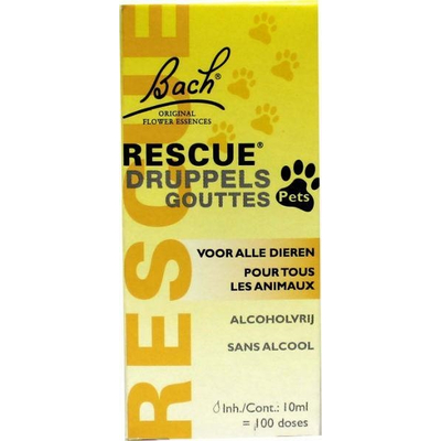 Bach Rescue pets for all animals Bach Rescue pets for all animals image