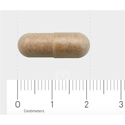 AOV Voedingssupplementen 814/815 Grüntee-Extrakt 250 mg (green tea) AOV Voedingssupplementen 814/815 Grüntee-Extrakt 250 mg (green tea) Abbildung