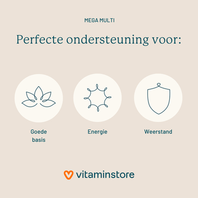 Vitaminstore Mega Multi (Multivitamin) Vitaminstore Mega Multi (Multivitamin) Abbildung