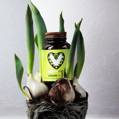 Vitaminstore Vegan Multi (multivitamine) Vitaminstore Vegan Multi (multivitamine) afbeelding