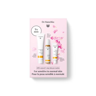 Dr Hauschka Must Have Kit Rose Cream Light Dr Hauschka Must Have Kit Rose Cream Light image