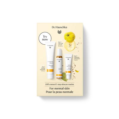 Dr Hauschka Must Have Kit Kweepeercrème Dr Hauschka Must Have Kit Kweepeercrème afbeelding