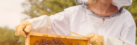 Afbeelding van Manuka: bijzondere honing