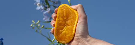 Afbeelding van Alles over vitamine C