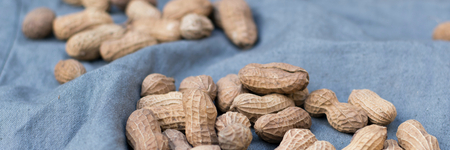 Afbeelding van Alles over magnesium