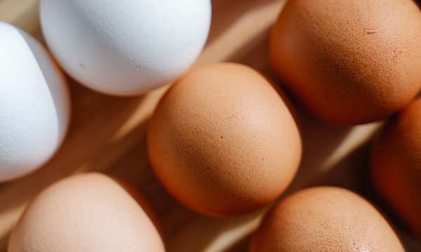 Afbeelding van eieren