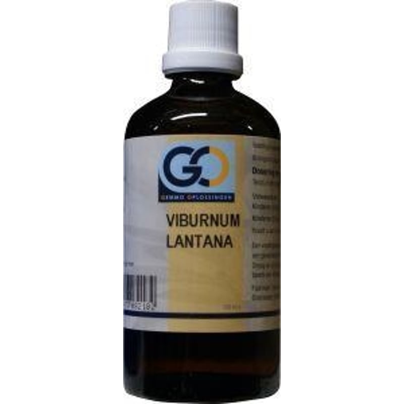 GO Viburnum lantana afbeelding