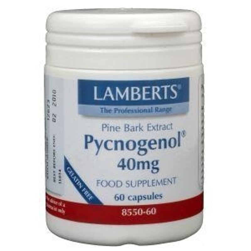 Lamberts Pycnogenol 40 mg afbeelding