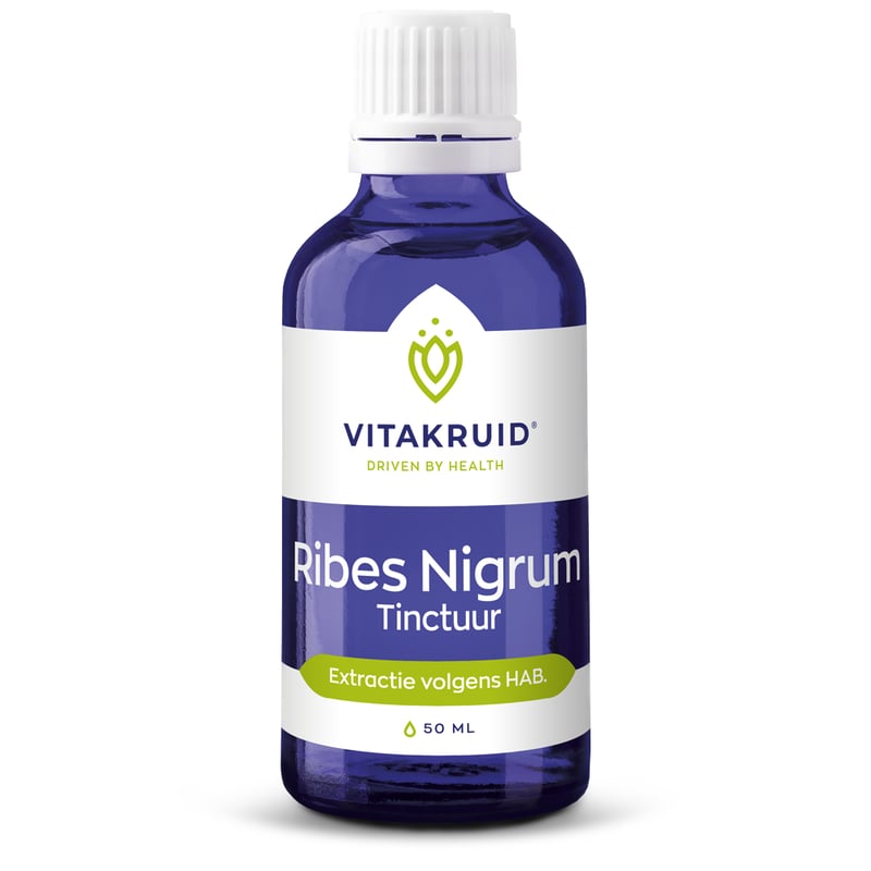 Vitakruid Ribes nigrum tinctuur afbeelding