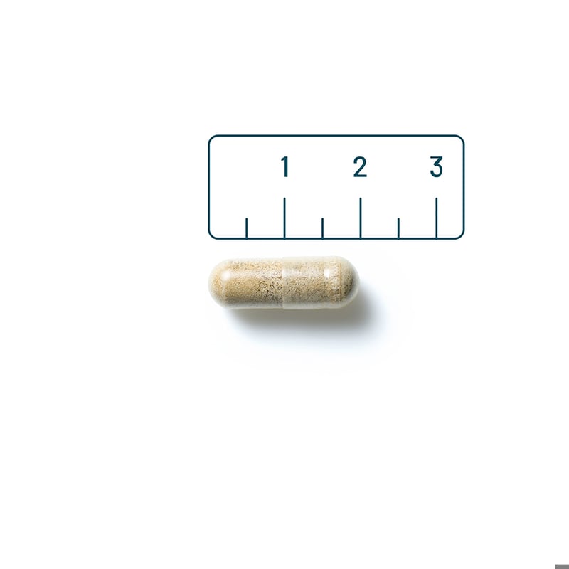 Vitaminstore Brain Support afbeelding