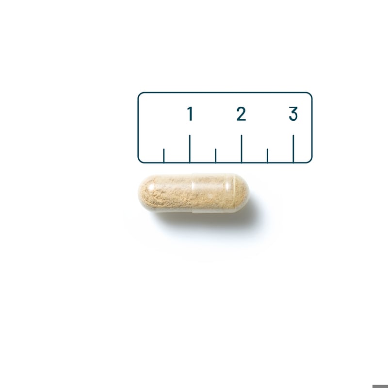 Vitaminstore Ester-C® 500mg (zuurvrije gebufferde vitamine C) afbeelding