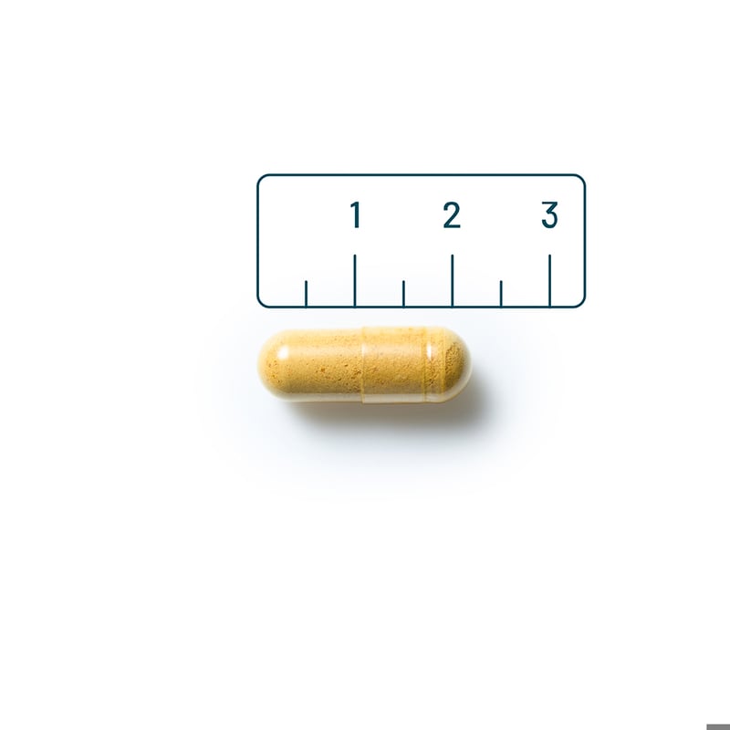 Vitaminstore Mariadistel Complex 175 mg afbeelding