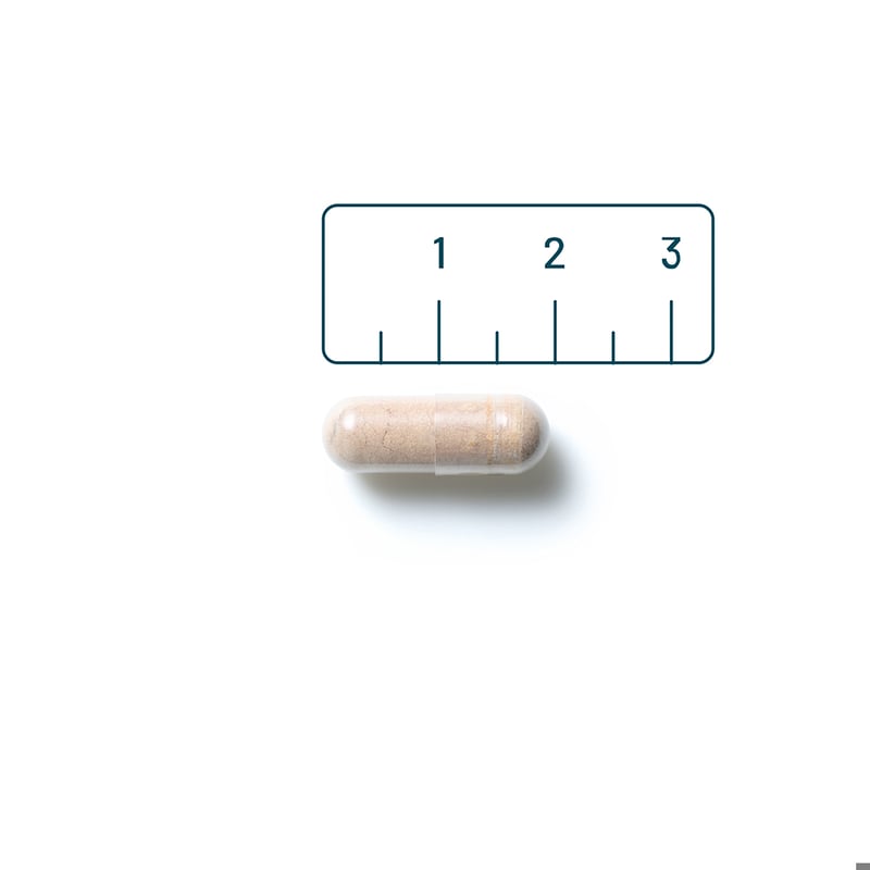 Vitaminstore Resveratrol 125 mg afbeelding