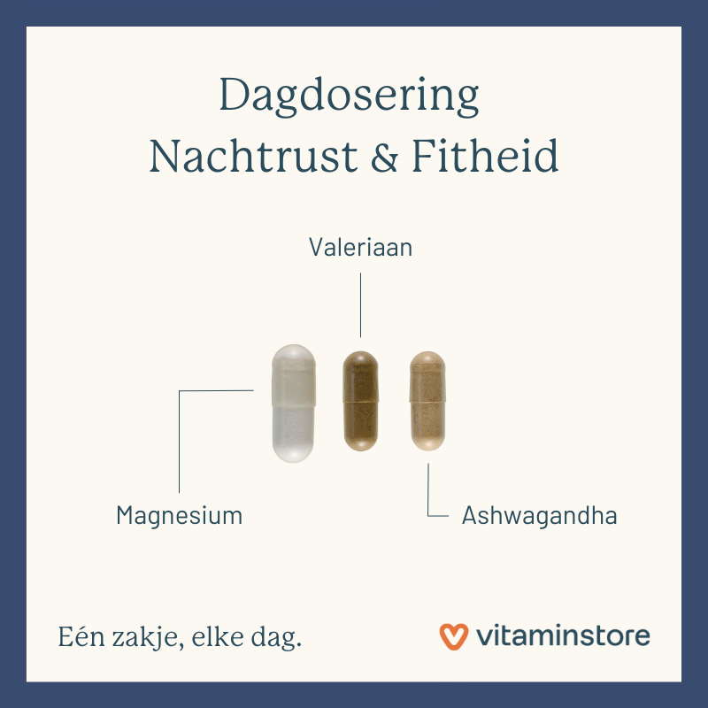 Vitaminstore Dagdosering Nachtrust afbeelding