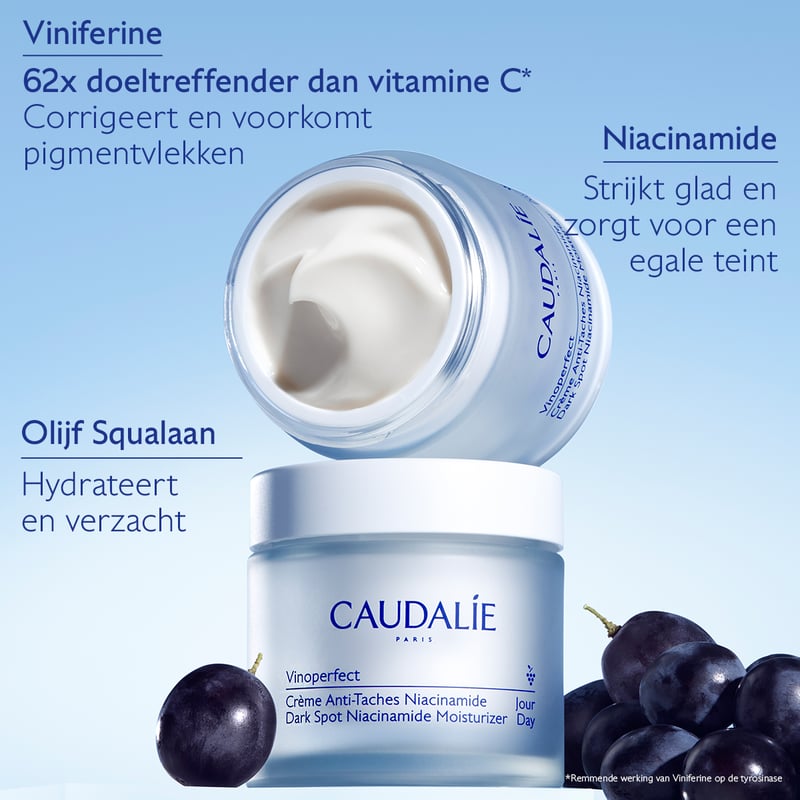 Caudalie Vinoperfect Dagcrème tegen Pigmentvlekken Caudalie Vinoperfect Dagcrème tegen Pigmentvlekken afbeelding