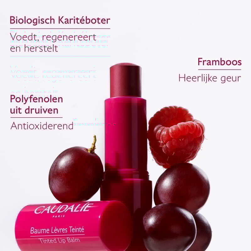 Caudalie Getinte Lippenbalsem Caudalie Getinte Lippenbalsem afbeelding