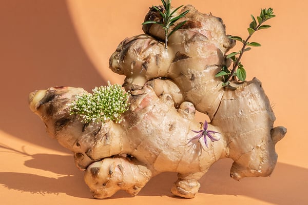 Supplementen voor concentratie: hoe een gezonde darmflora kan helpen