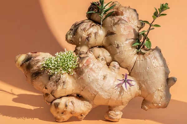 Supplementen voor concentratie: hoe een gezonde darmflora kan helpen