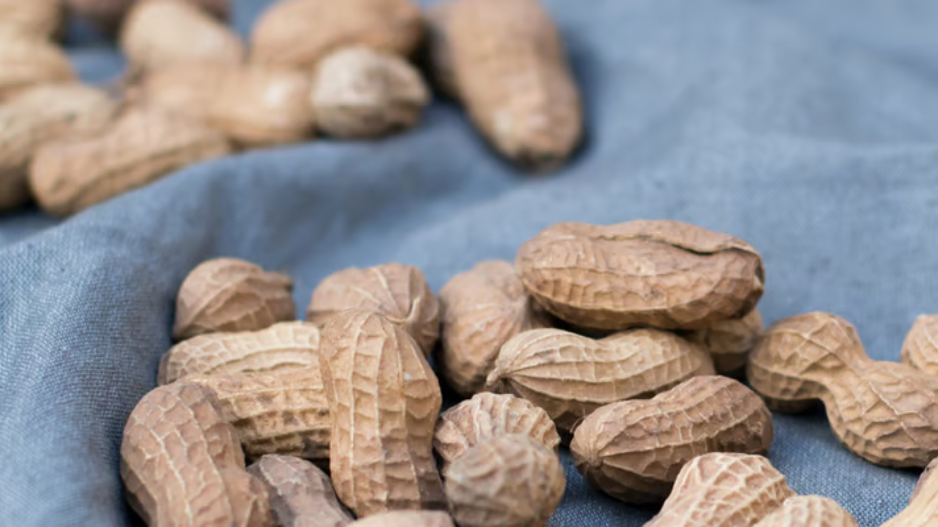 Alles over magnesium