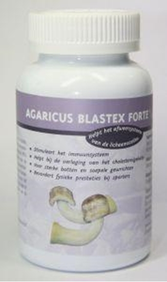 Nateeko Agaricus blastex forte afbeelding