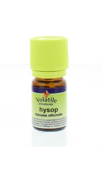 Volatile Hyssop afbeelding