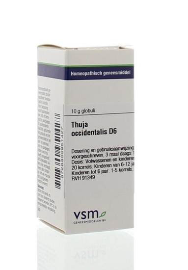 VSM Thuja occidentalis D6 afbeelding