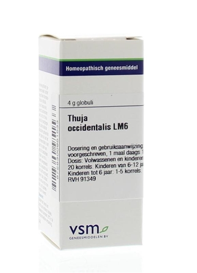 VSM Thuja occidentalis LM6 afbeelding