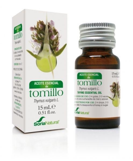 Soria Thymus vulgaris thymol afbeelding