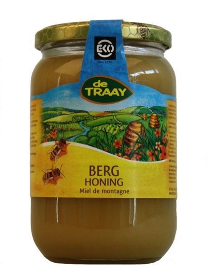 Traay Berghoning bio afbeelding