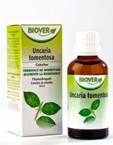 Biover Uncaria tormentosa afbeelding