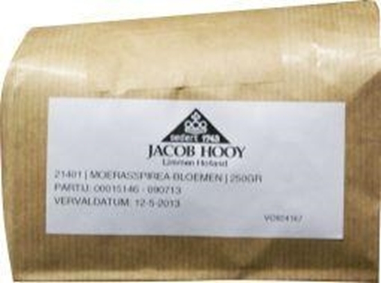 Jacob Hooy Moerasspirea bloemen afbeelding