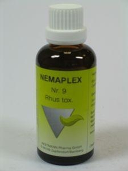 Nestmann Rhus toxidendron 9 Nemaplex afbeelding