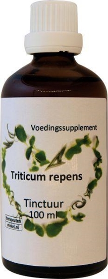 Ther Winkel Triticum repens afbeelding