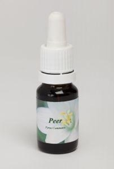 Star Remedies Peer afbeelding