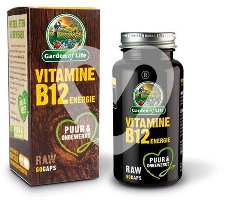 Vitaminstore.nl Vitamine B12 Energie bestellen