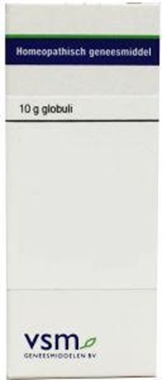 VSM Spongia tosta D3 afbeelding