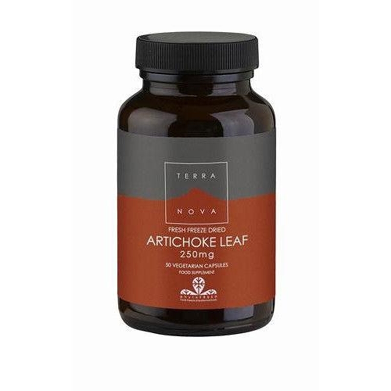 Terranova Artichoke leaf 250 mg Terranova Artichoke leaf 250 mg afbeelding