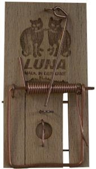 Luna Muizenval afbeelding