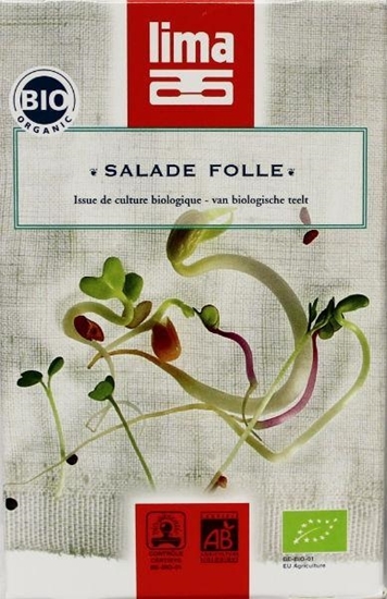 Lima Salade folle afbeelding
