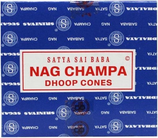 Satya Kegelwierook satya nag champa afbeelding